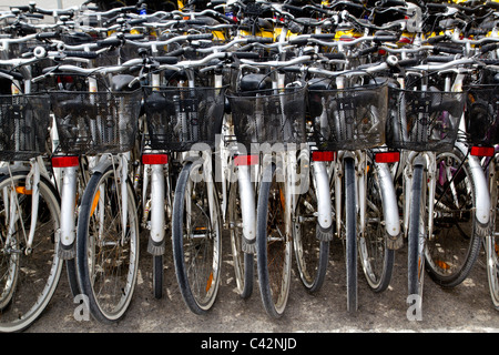 bicycles renting shop pattern rows parking in balearic islands Stock Photo