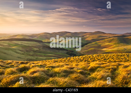 View from Windy Gyle on the Border Ridge and Pennine Way in the Northumbrian Cheviot Hills, England Stock Photo