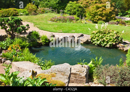 Water Cress. CRESS. Garten und Brunnen Kresse, Get,. Cresson, Fr