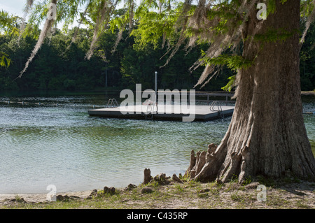 Floating dock and swimming platform near the main spring at Wakulla Springs State Park near Tallahassee Florida. Stock Photo