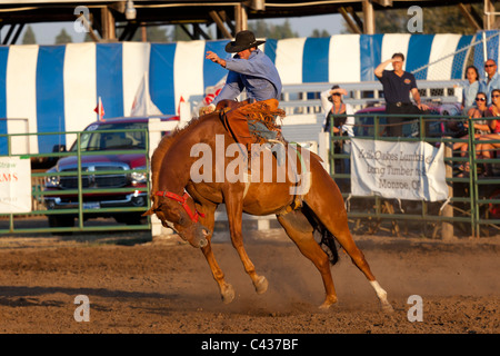 Rodeo at Benton County Fair, Corvallis,  Oregon, USA 2009 Stock Photo