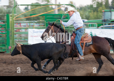 Rodeo at Benton County Fair, Corvallis,  Oregon, USA 2009 Stock Photo