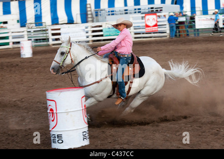 Rodeo at Benton County Fair, Corvallis,  Oregon, USA 2009 Stock Photo