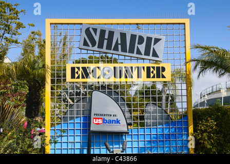 The very popular Shark Encounter exhibit at SeaWorld. Stock Photo