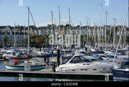 Bangor Marina is the largest marina in Northern Ireland and is situated on the southern shores of Belfast Lough close to the Iri Stock Photo