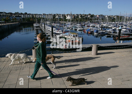 Bangor Marina is the largest marina in Northern Ireland and is situated on the southern shores of Belfast Lough close to the Iri Stock Photo