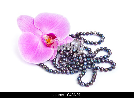 Orchid with a pearl necklace. Stock Photo