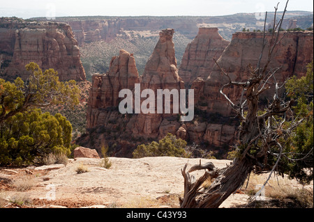 View from near the Visitor's Center, Colorado National Monument, near Grand Junction, Colorado Stock Photo