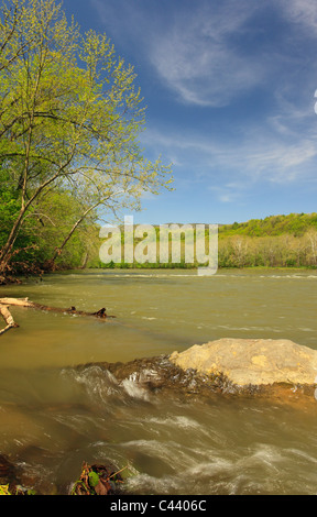 Receeding Floodwaters, Shenandoah River, Shenandoah River State Park, Front Royal, Virginia, USA Stock Photo