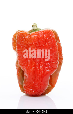 Red pepper on a white Stock Photo