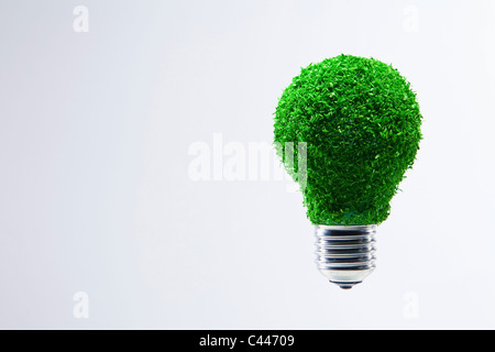 Energy saving light bulb covered in green grass Stock Photo