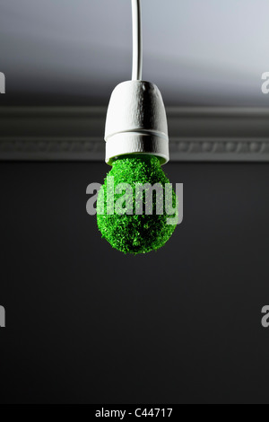 Energy saving light bulb covered in grass and hanging from ceiling Stock Photo