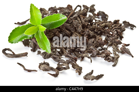 Heap of dry tea with green tea leaves isolated on a white background. Stock Photo