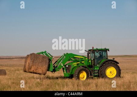 hay, hay bales, Southern Alberta, Canada, North America, agriculture, field, tractor, farm tractor, farming, farmer Stock Photo