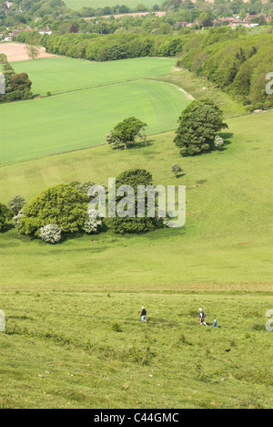 Looking down on farmland from high up on Cissbury Ring in the South Downs National Park. Stock Photo