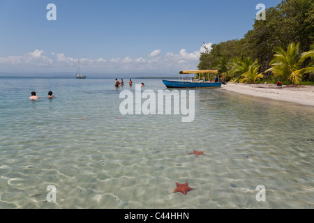 Starfish Beach, Isla Colon, Bocas Del Toro, Panama Stock Photo