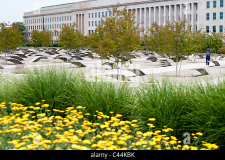 Yellow flowers in the foreground and the Pentagon building in the background of the Pentagon Memorial. The Pentagon Memorial is in remembrance of the events of September 11, 2001, and the 184 people who died as victims of the terrorist attack on the Pentagon. The Memorial is adjacent to the southwest side of the Pentagon. Designed by Julie Beckman and Keith Kaseman, the memorial opened to the public on September 11, 2008, it is designed with one illuminated for each victim of the attack, arranged by the person's age. Each bench has a small pond of water underneath, and a name is etched on the  Stock Photo