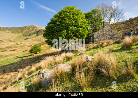 Abandoned Farmhouse in Cwm Pennant, Snowdonia National Park, North Wales, UK Stock Photo