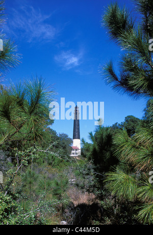Pensacola Beach in Escambia County - Pensacola Lighthouse Seen Through Pine Trees Near The Beach In Escambia C44m5d 