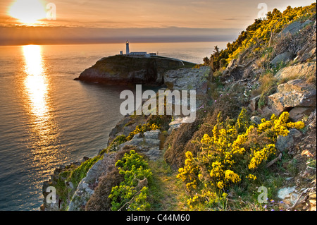 South Stack Lighthouse at Sunset, Holy Island, Anglesey, North Wales, UK Stock Photo