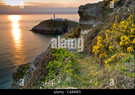 South Stack Lighthouse at Sunset, Holy Island, Anglesey, North Wales, UK Stock Photo