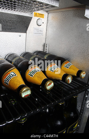 bottles of cobra laid in a row in fridge Stock Photo