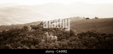 Tuscan landscape near Raddi in Chianti, Tuscany, Italy Stock Photo