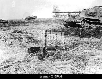 Panzer VI 'Tiger II' on the Eastern front, 1944 Stock Photo