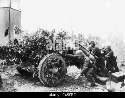 German Pak in Normandy Stock Photo