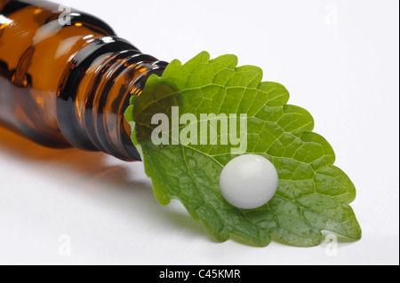 pill on green leaf out of bottle as symbol for alternative herbal homeopathic medicine Stock Photo