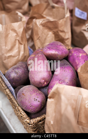 Organic produce at Albany Farmers Market. Albany, Western Australia, Australia Stock Photo