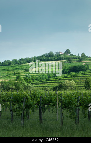 slovenian collio hills landscape Stock Photo