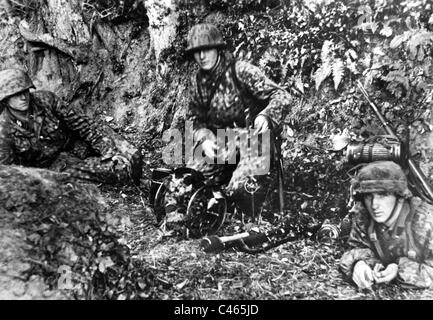 Signal troops of the SS in Normandy Stock Photo