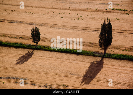 Aerial photograph of the agriculture fields of the Sharon Stock Photo