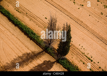 Aerial photograph of the agriculture fields of the Sharon Stock Photo