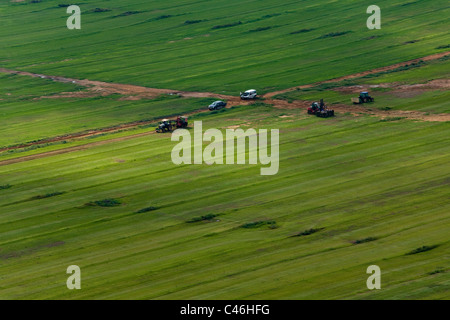 Aerial photograph of the agriculture fields of the Sharon Stock Photo