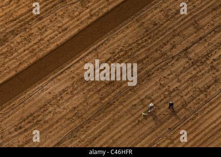 Aerial photograph of the agriculture fields of the Sharon Stock Photo