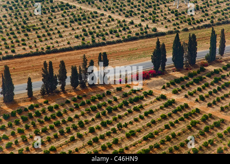 Aerial photograph of the agriculture fields of the Sharon Stock Photo