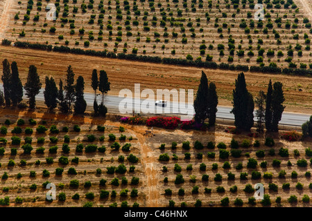 Aerial photograph of the agriculture fields of the Sharon Stock Photo