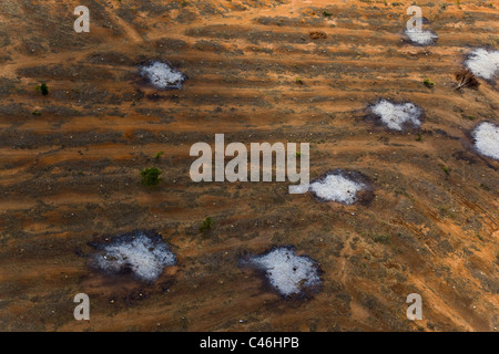 Aerial photograph of the agriculture fields of the Sharon Stock Photo