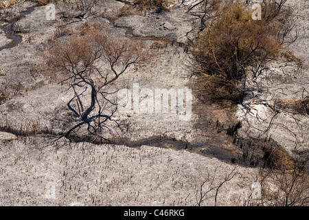 Aerial photograph of the burned Banias national park Stock Photo