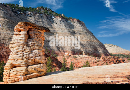 Navajo sandstone monoliths and eroded shaped hoodoos dominate the eastern side of Utah's Zion National Park. Stock Photo