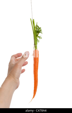 Dangling carrot with white background Stock Photo