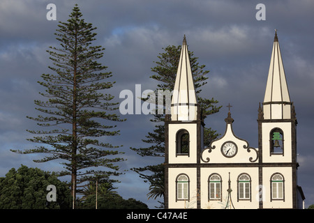 Santa Maria Madalena church, surrounded by two giant Norfolk Island Pine (Araucaria heterophylla), Madalena, Pico Island, Azores Stock Photo