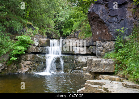 Waterfall near Gibsons Cave, Bowlees, Teesdale, County Durham Stock Photo