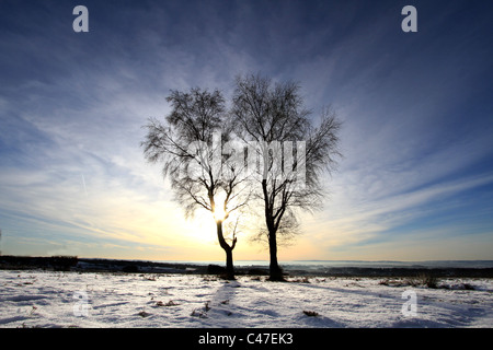 Ashdown forest snow hi-res stock photography and images - Alamy