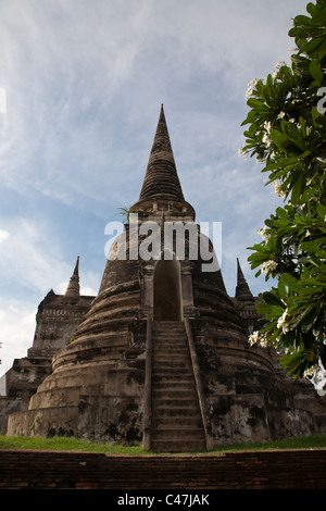 Wat Phra Sri Sanphet, being part of the royal palace, was exclusively used by the Ayutthaya Kings. Stock Photo
