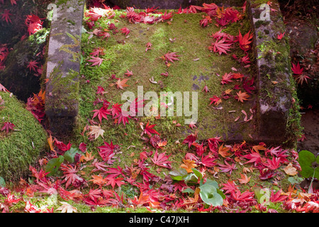 Fallen red maple leaves on moss-covered bridge at Shoyo-en Garden, Rinno-ji Temple, Nikko, Tochigi Prefecture, Japan. Stock Photo