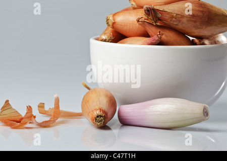 Studio shot of white bowl filled with echalion (aka banana) shallots against a plain gray background. Stock Photo