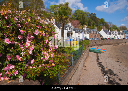 Plockton village, Loch Carron, Kyle of Lochalsh, Highland region, Scotland, November Stock Photo